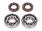 crankshaft bearing set Naraku SKF / FKM Premium C4 for Derbi EBE, EBS, D50B0