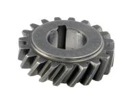 primary gear Z 19 (19/67-3.52) DRT for 50-75cc cylinders