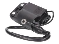 CDI unit with ignition coil for Piaggio Free 50 2T FL (DT Disc / Drum) [FCS2T0001]