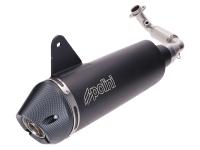 exhaust Polini Slip-On Inox for Vespa GTS 300, GTV 300 Euro5 (w/ catalytic converter)