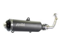 exhaust Polini for Kawasaki J 300i Special Edition