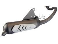 exhaust Polini for PGO Big Max 50 2T AC