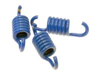 clutch spring kit Polini sport blue for Malaguti F10 Wap 50 (04-)