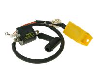 CDI unit with ignition coil Top Performances for Piaggio NRG 50 Power LC (DD Disc / Disc) 05-06 [ZAPC45100]