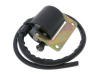 ignition coil for Vespa Modern Si
