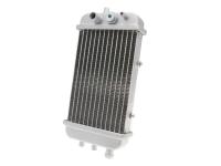 radiator for Aprilia SX 50 18-20 E4 (D50B) ZD4KKB01