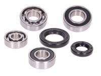 gearbox bearing set w/ oil seals for Sachs Limbo 50 M VGA441