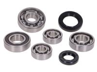 gearbox bearing set w/ oil seals for Jmstar Sunny 50 4T JSD50QT-27