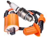 ignition upgrade kit Naraku High Output 1-pin ignition coil and spark plug iridium short thread for Sachs Speedforce R