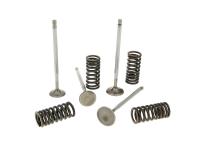 cylinder head valves Malossi racing with springs for Piaggio 4V LC engines