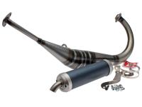 exhaust Malossi MHR Replica for Aprilia RS4 50 2T LC D50B 2012- Euro2-