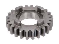 5th speed primary transmission gear TP 24 teeth 2nd series for Beta RR 50 Motard STD 14 (AM6) Moric ZD3C20002E05
