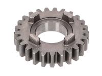 6th speed primary transmission gear TP 25 teeth 2nd series for Beta RR 50 Motard STD 14 (AM6) Moric ZD3C20002E05