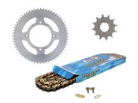 chain kit AFAM 12/60 teeth for new products