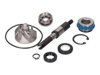water pump repair kit for Honda @ 150 4T NES150 [KF03]