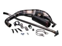 exhaust VOCA Carbon 80cc for new products