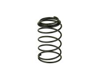 oil filter screen spring for TNG Low Boy 150 4T