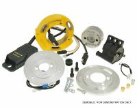 internal rotor ignition Malossi MHR Team for Piaggio Free 50 2T FL (DT Disc / Drum) [FCS2T0001]