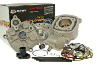 cylinder kit Malossi MHR BIG BORE 39.3mm for Piaggio Zip 50 2T SP 1 LC 96-99 (DT Disc / Drum) [ZAPC11000]