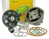 cylinder kit Top Performances Trophy 70cc for Rieju RR 50 01-02 (AM6)